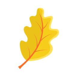 Maple leaf  Icon