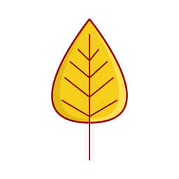 Maple leaf  Icon