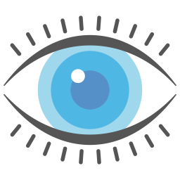 Ojo  Icono