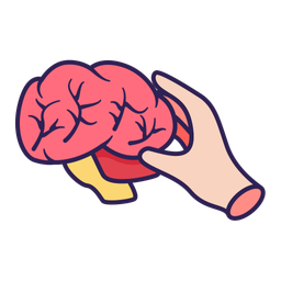 Brain  Icon