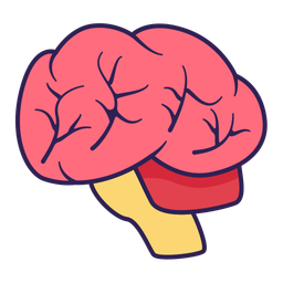 Brain  Icon