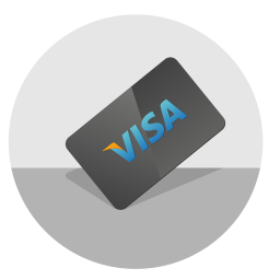 Visa  Icon