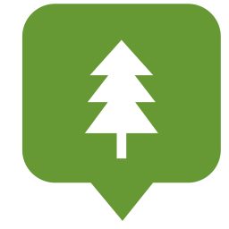 Fir tree  Icon