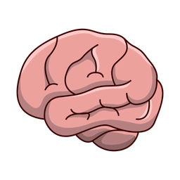 Brain  Icon