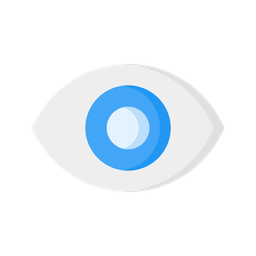 Eye  Icon