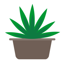 Planta de cannabis  Icono