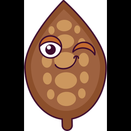 Cocoa Bean  Icon