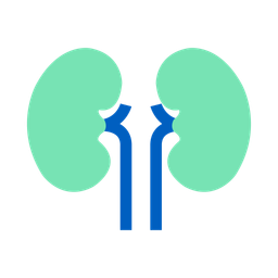 Hemodialysis  Icon