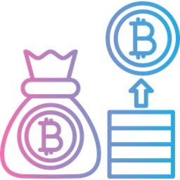 Bitcoin bag  Icon