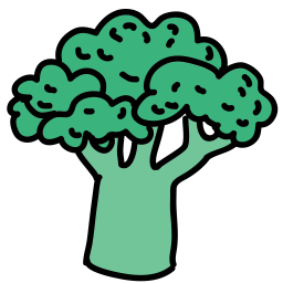 Broccoli  Icon