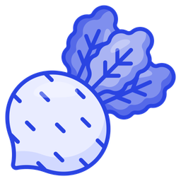 Beetroot  Icon