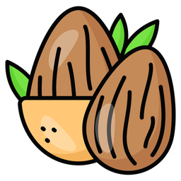 Almond  Icon