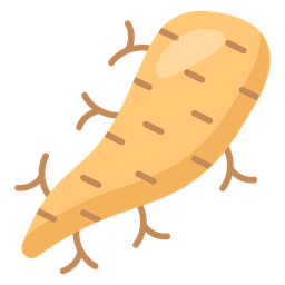 Arrowroot  Icon