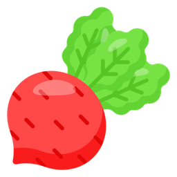 Beetroot  Icon