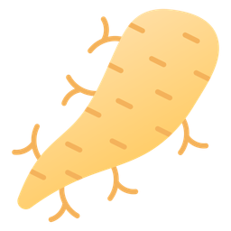 Arrowroot  Icon