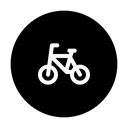 Bicycle  Icon