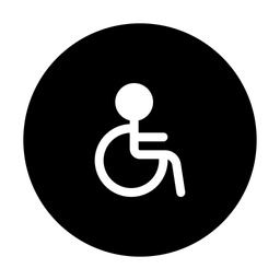 Accessibility  Icon