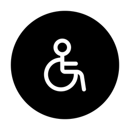 Accessibility  Icon