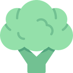 Broccoli  Icon