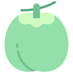 Coconut  Icon