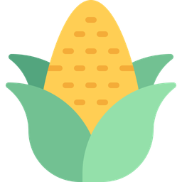 Corn  Icon