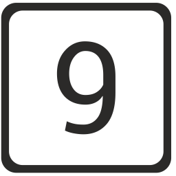 9  Icon