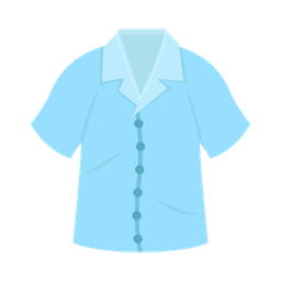 Shirt  Icon