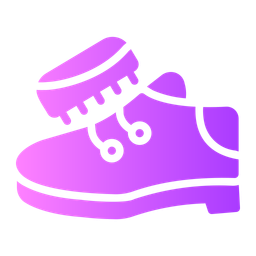 Polish shoes  Icon