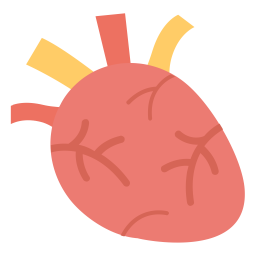 Cardiología  Icono