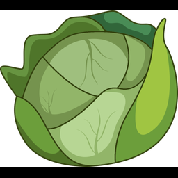 Cabbage  Icon