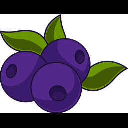 Blueberry  Icon