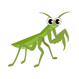 Bug  Icon