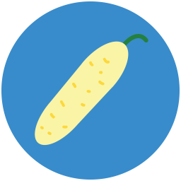 Bitter gourd  Icon