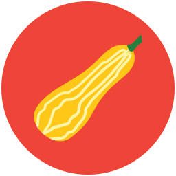 Bottle gourd  Icon