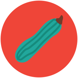 Bottle gourd  Icon