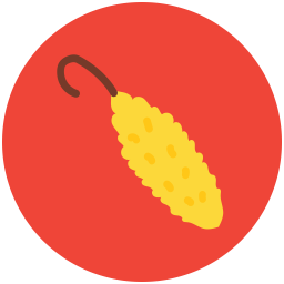 Bitter gourd  Icon