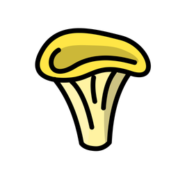 Chanterelle Mushroom  Icon