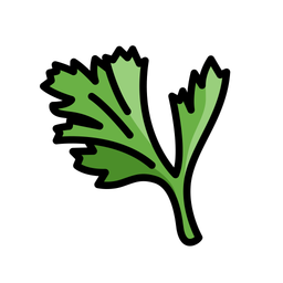 Parsley  Icon