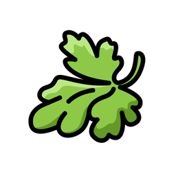 Coriander  Icon