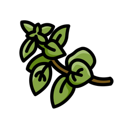 Oregano  Icon