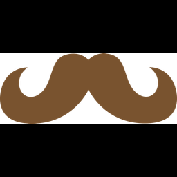 Moustache  Icon