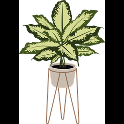 Dieffenbachia  Icon