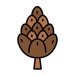 Pine Cone  Icon