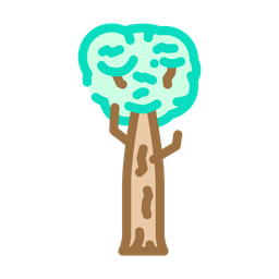 Kauri Tree  Icon