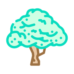 Macadamia Tree  Icon