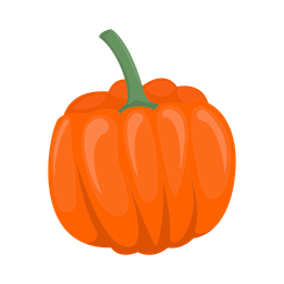 Pumpkin  Icon