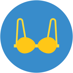 Bra  Icon