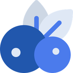 Blueberry  Icon