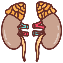 Adrenal gland  Icon