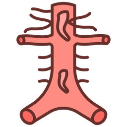 Abdominal arteries  Icon